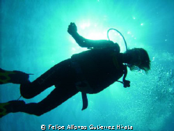 sun and diver taked with dsc-600 sea-life by Felipe Alfonso Gutierrez Hirata 